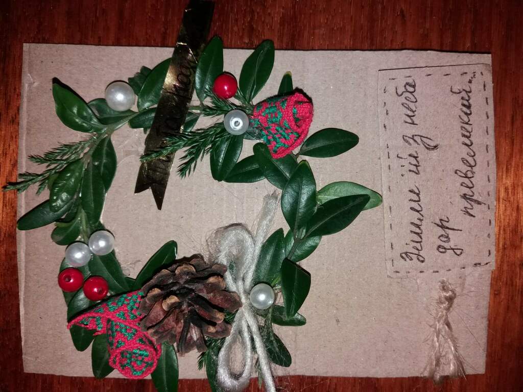 Щербій Оля 2